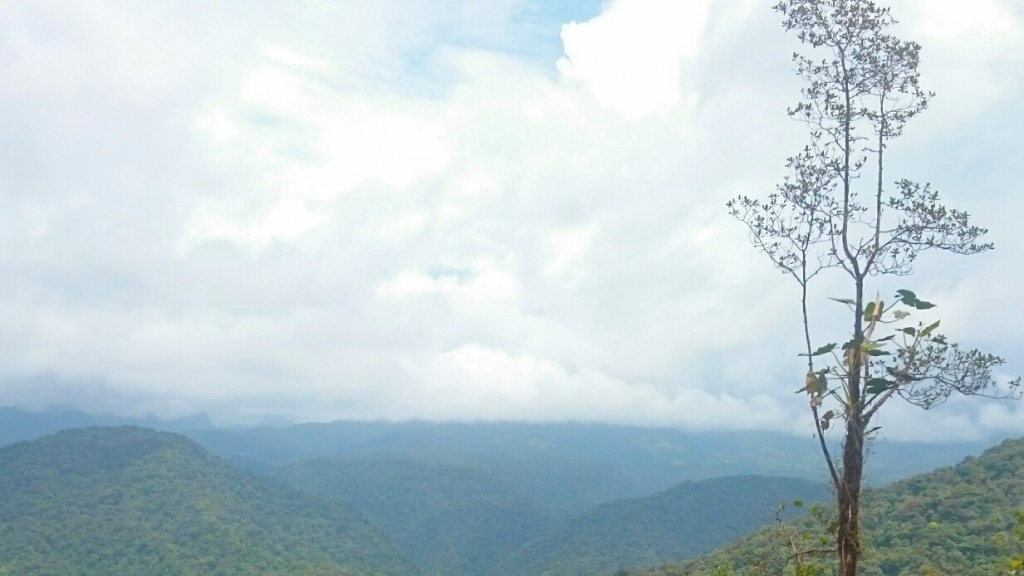 Costa Rica mountains